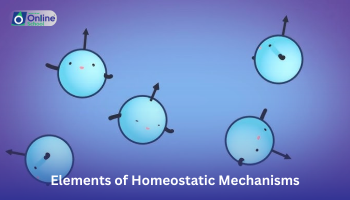 Lesson 01: Elements of Homeostatic Mechanisms